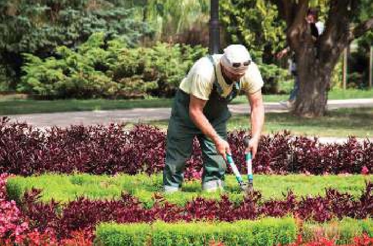 Jardinería